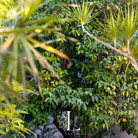 Les Lucioles 10 - Luxury Garden 3 Bedrooms - Sleeps 8 Apartment Cannes